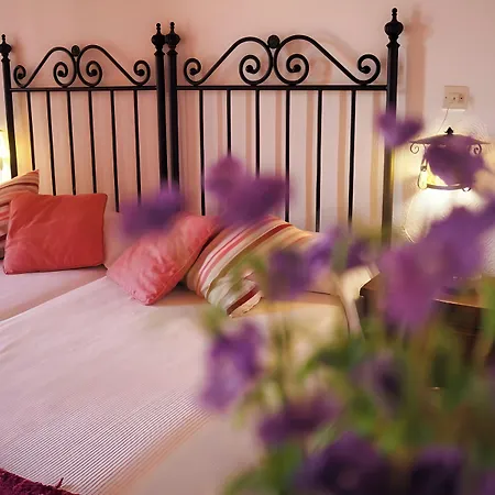 Guest house Hospedium Almanzor