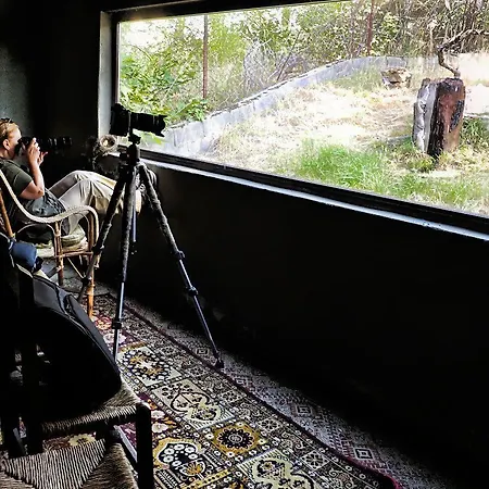 Hospedium Almanzor Guest house 2*