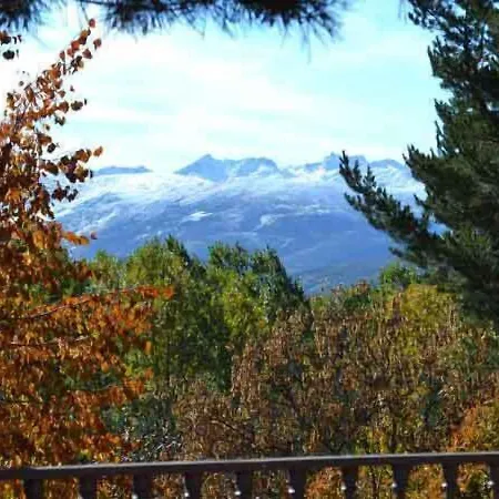 Hospedium Almanzor Gæstehus 2*