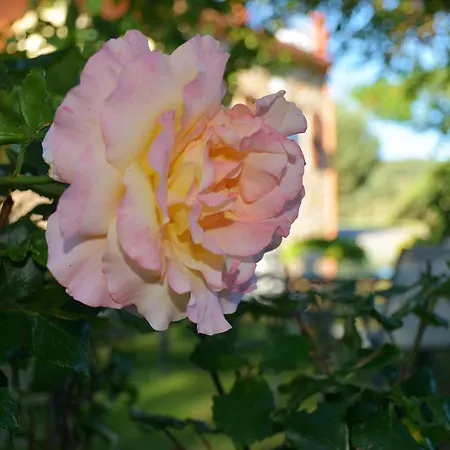 Gæstehus Hospedium Almanzor