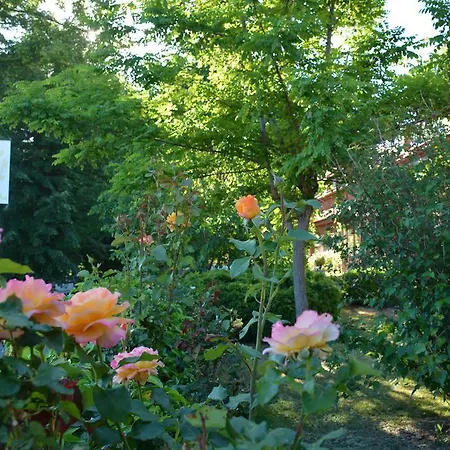 Hospedium Almanzor 2* Navarredonda de Gredos