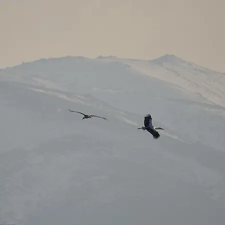 Maison d'hôtes Hospedium Almanzor 2*