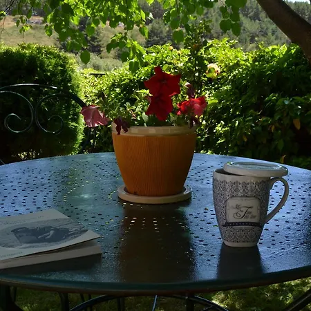 Guest house Hospedium Almanzor 2*