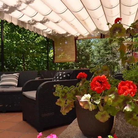 Hospedium Almanzor Guest house 2*