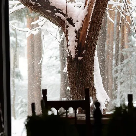 Hospedium Almanzor Guest house Navarredonda de Gredos