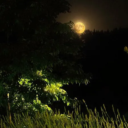 Hospedium Almanzor Guest house Navarredonda de Gredos