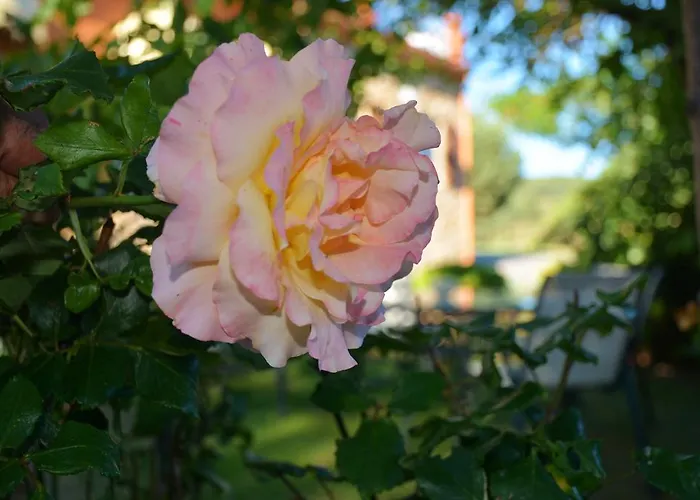 Maison d'hôtes Hospedium Almanzor