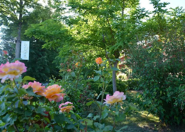 Hospedium Almanzor 2* Navarredonda