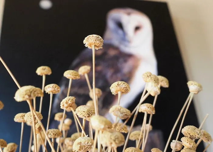 Maison d'hôtes Hospedium Almanzor 2*